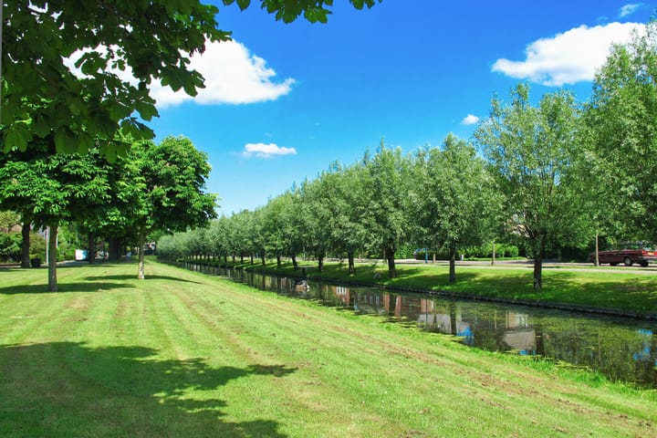 Foto 86 van Parkietstraat 22