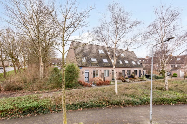 Foto 2 van Roggenplaat 1