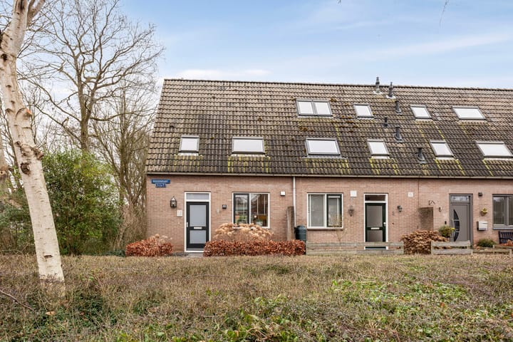 Foto 4 van Roggenplaat 1