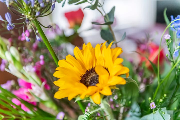 Foto 14 van Burgemeester Meslaan 90