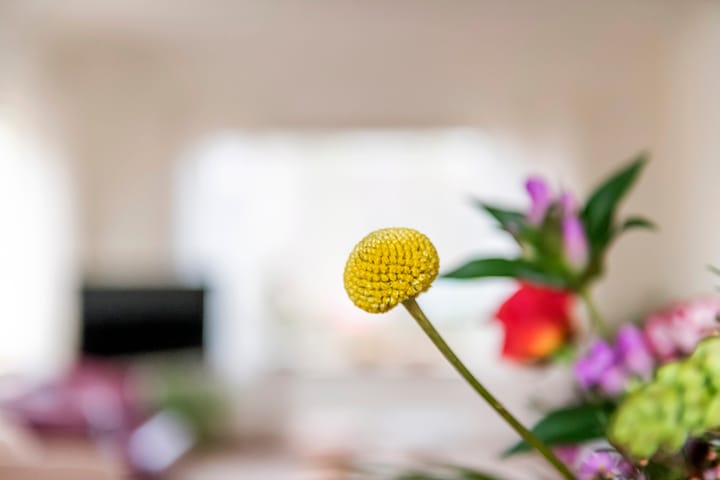 Foto 17 van Burgemeester Meslaan 90