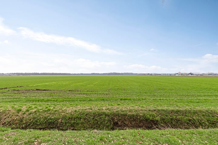 Foto 37 van De Stille Wille 325