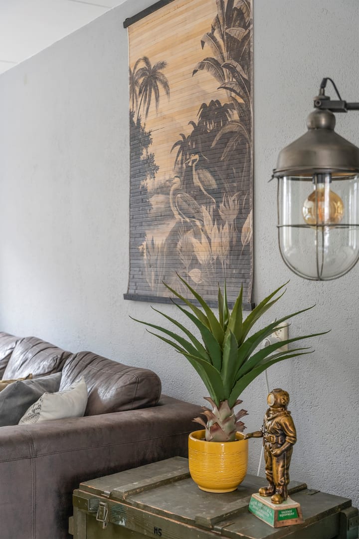 Foto 6 van Ankerstraat 3