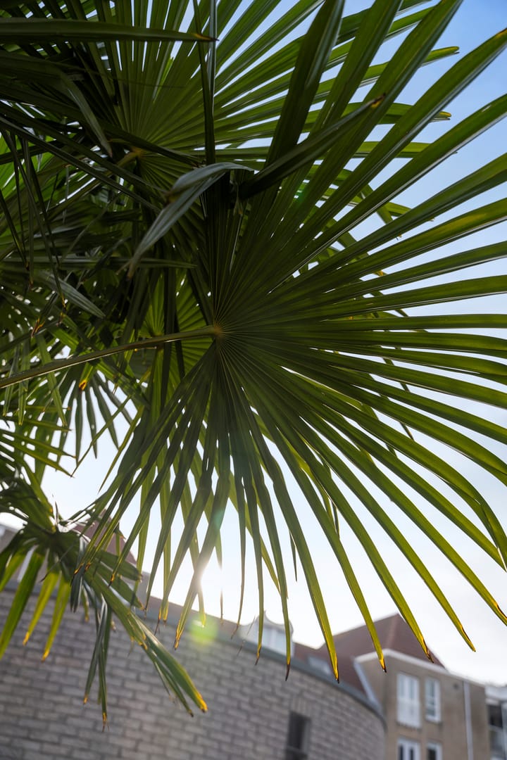 Foto 36 van Ankerstraat 3