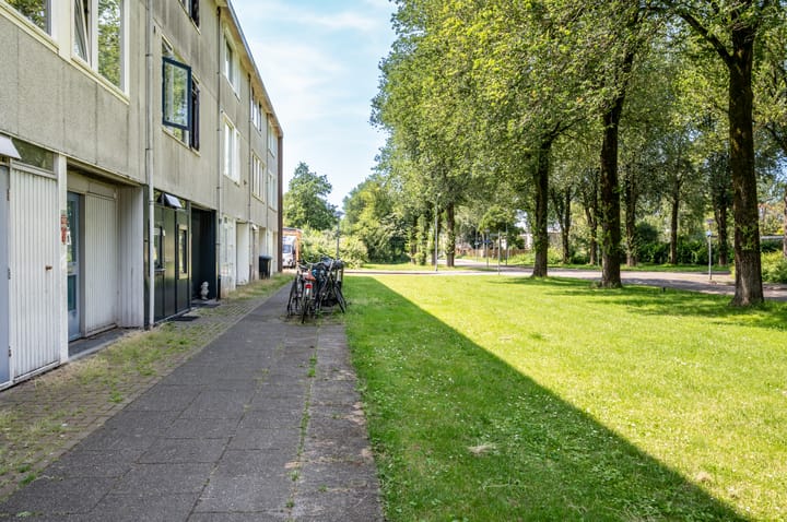 Foto 39 van Klip 177