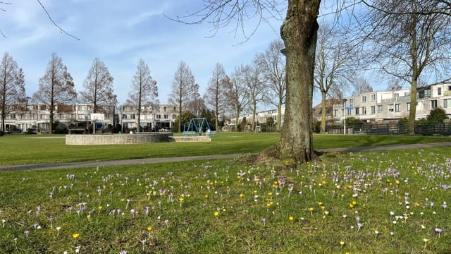 Foto 50 van Van Ravesteynplan 13