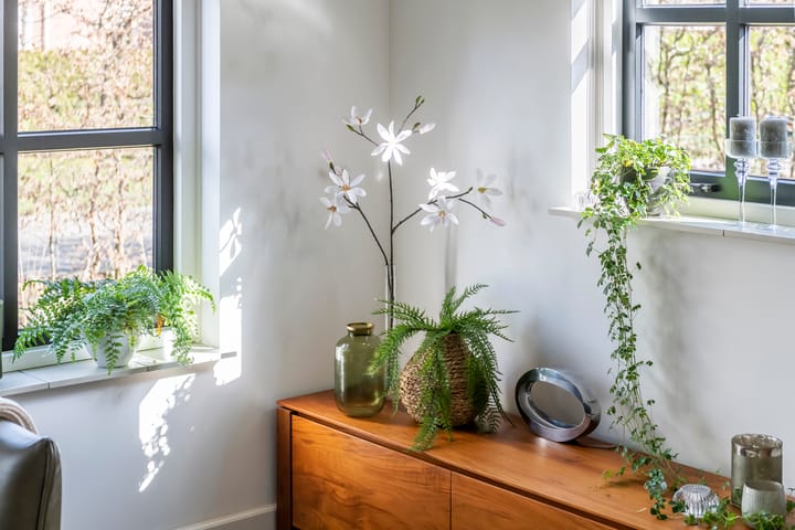 Foto 19 van Beatrixlaan 9