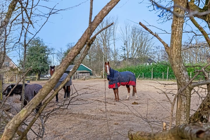 Foto 36 van Oosteinde 4