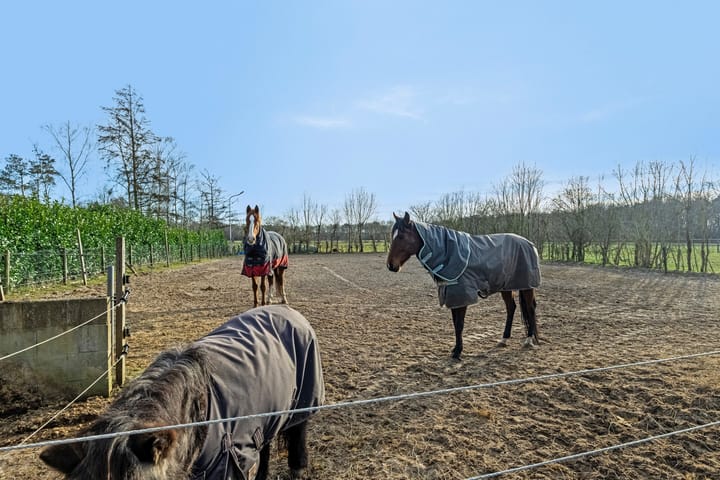 Foto 37 van Oosteinde 4