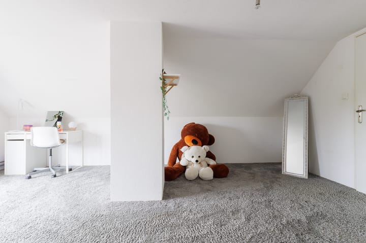 Foto 60 van Groningerweg 60