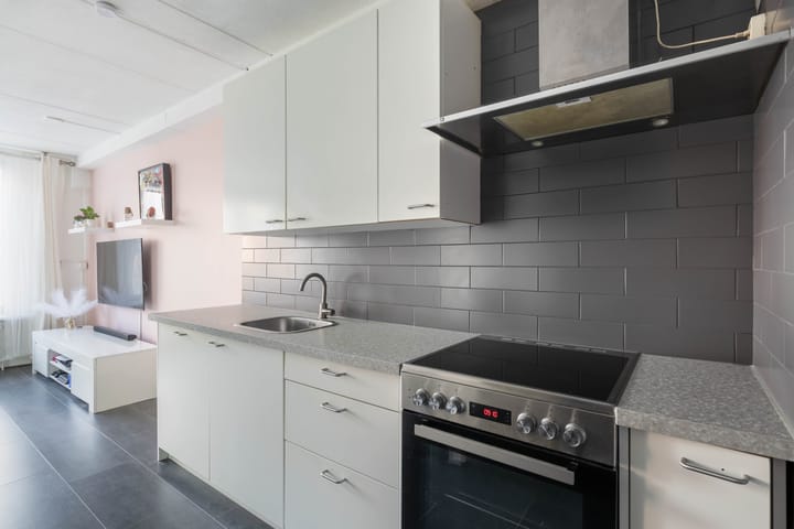 Foto 3 van Pallieterburg 93