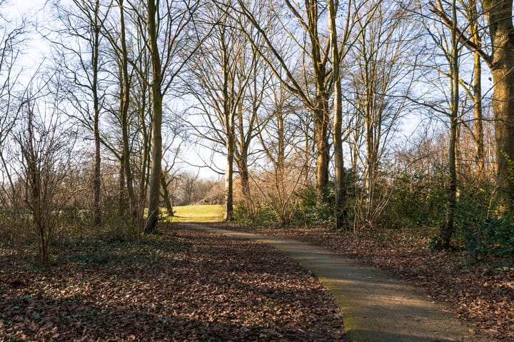 Photo 28 of Weverij 66