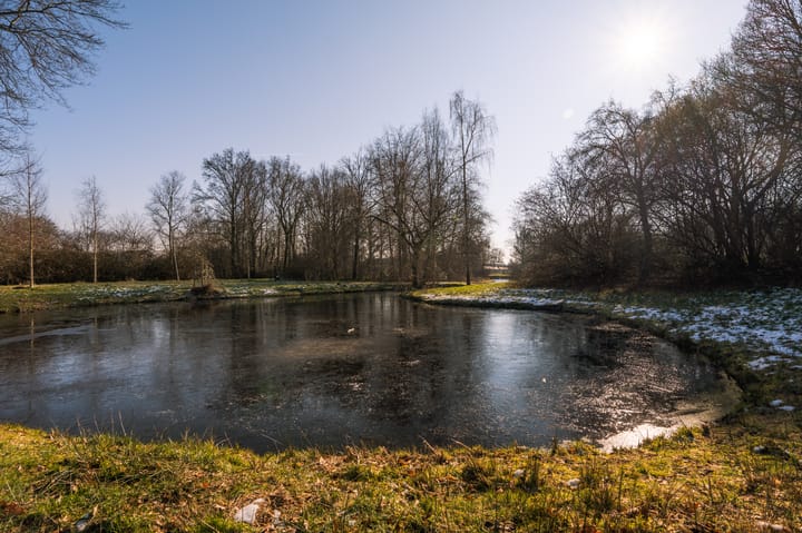 Photo 30 of Weverij 66