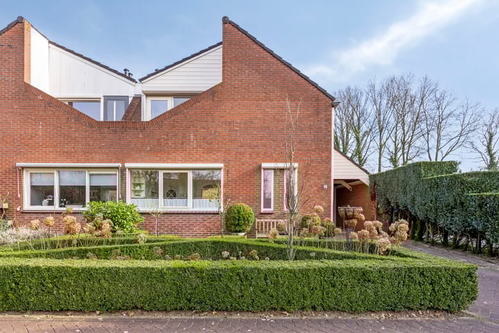 Foto 6 van Grote Beer 52