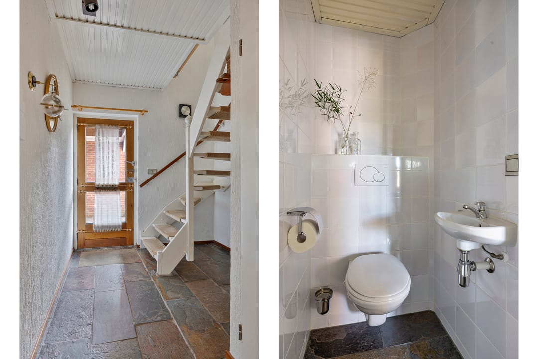 Foto 8 van Grote Beer 52