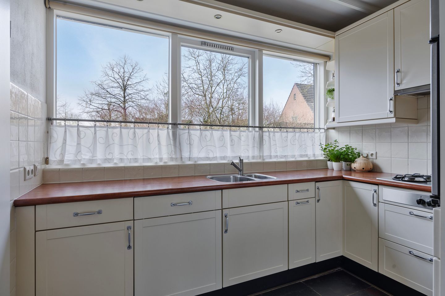 Foto 20 van Grote Beer 52