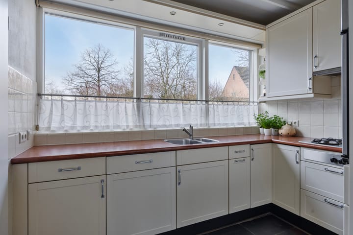 Foto 20 van Grote Beer 52