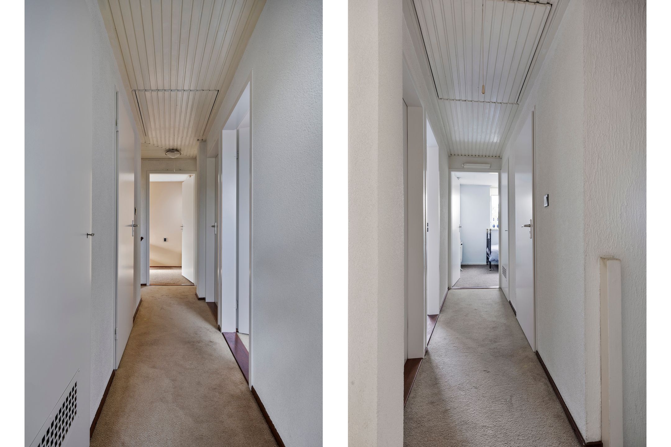 Foto 24 van Grote Beer 52