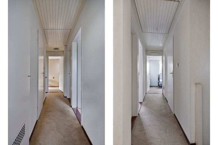 Foto 24 van Grote Beer 52