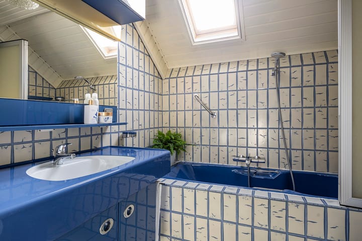 Foto 30 van Grote Beer 52