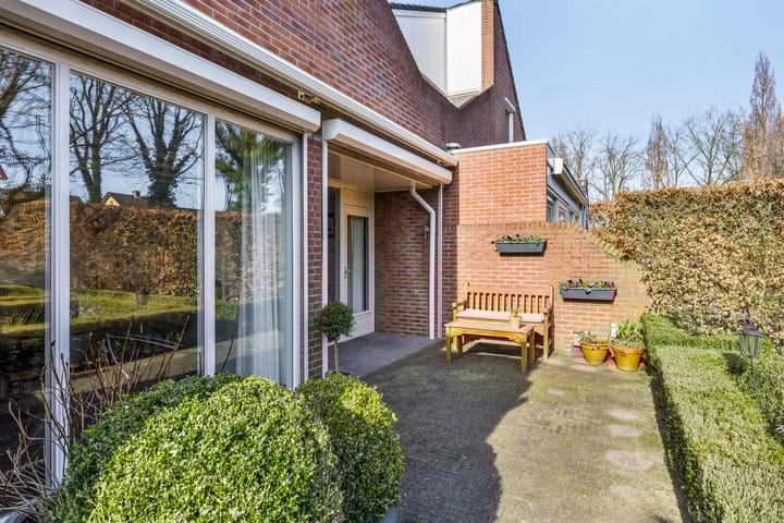 Foto 34 van Grote Beer 52