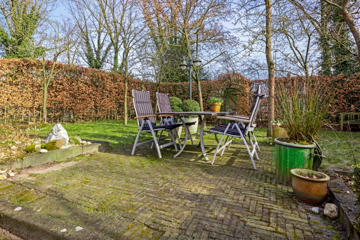 Foto 36 van Grote Beer 52