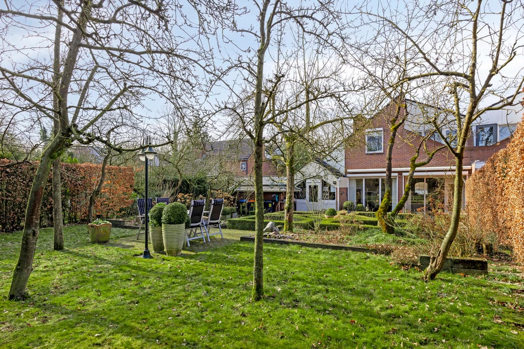 Foto 37 van Grote Beer 52