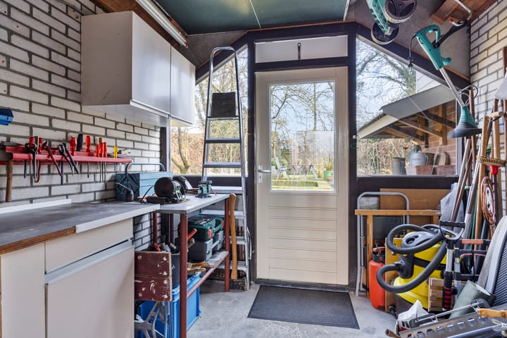 Foto 40 van Grote Beer 52