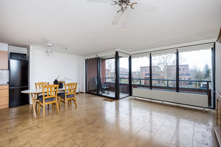 Foto 2 van Elzenmos 62