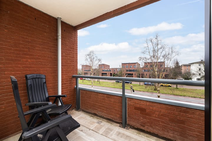 Foto 3 van Elzenmos 62