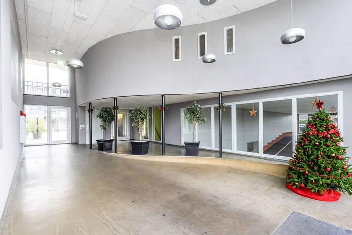 Foto 4 van Elzenmos 62