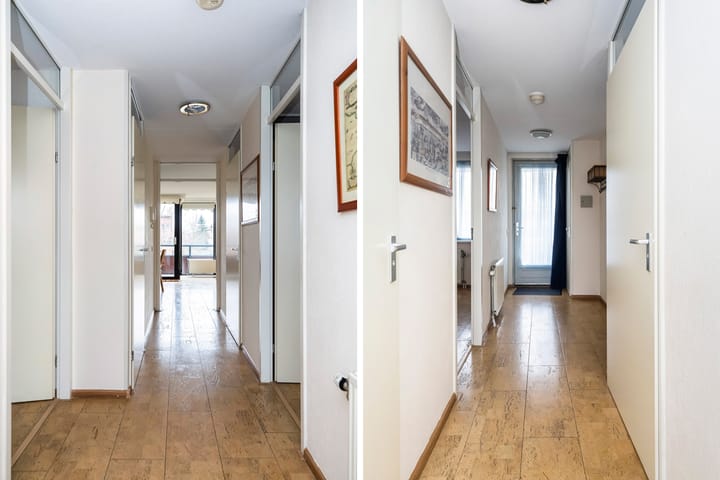 Foto 7 van Elzenmos 62