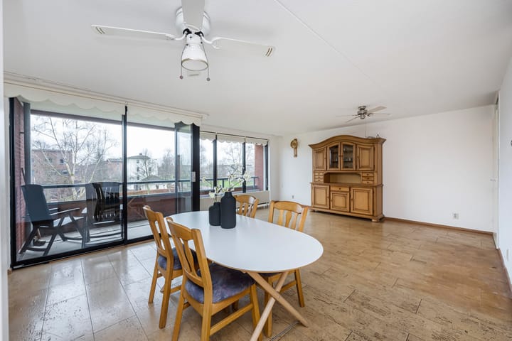 Foto 11 van Elzenmos 62