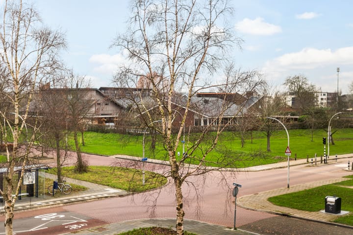 Foto 18 van Elzenmos 62