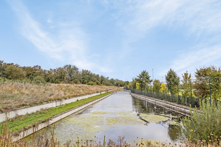 Foto 51 van Vogelenveld 53