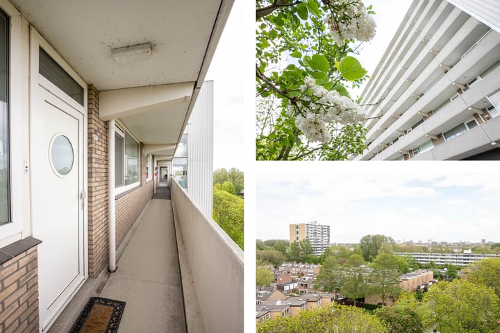 Foto 3 van Holysingel 490