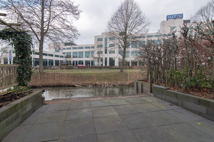 Foto 31 van Wengéhout 80