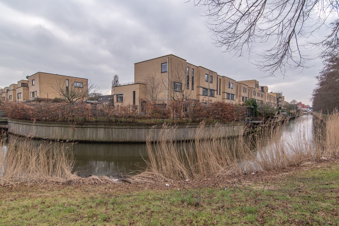 Photo 37 of Wengéhout 80