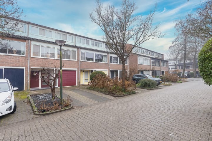 Foto 5 van Schepenen 6