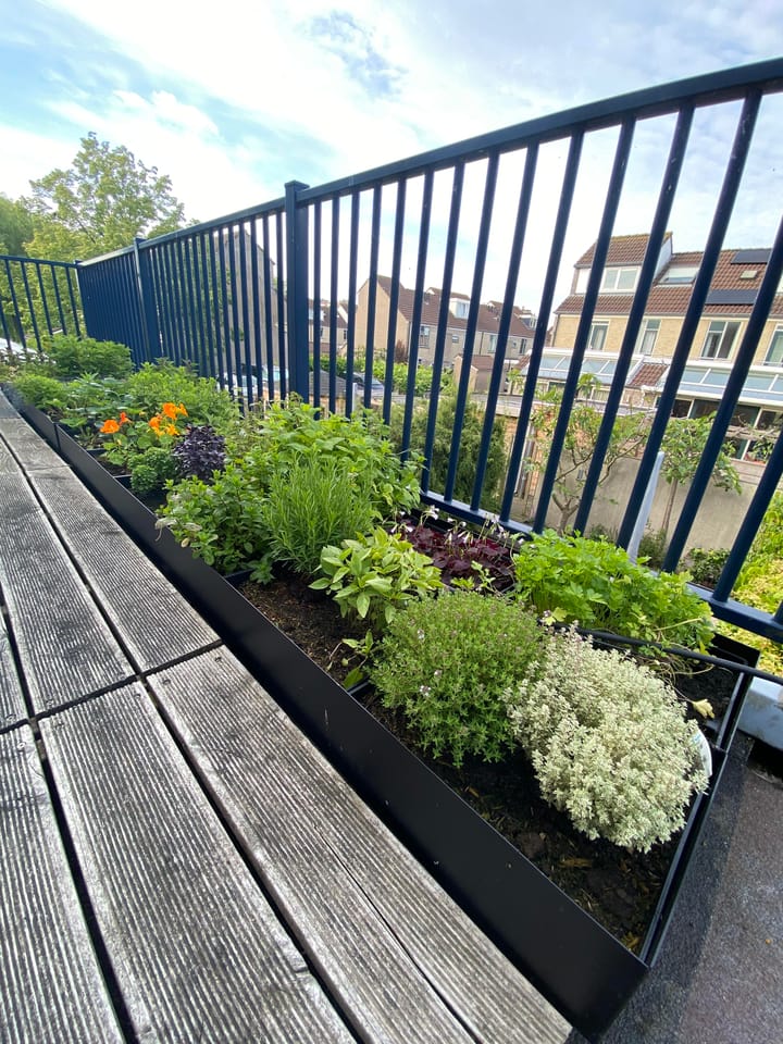 Foto 25 van De Paarl 34