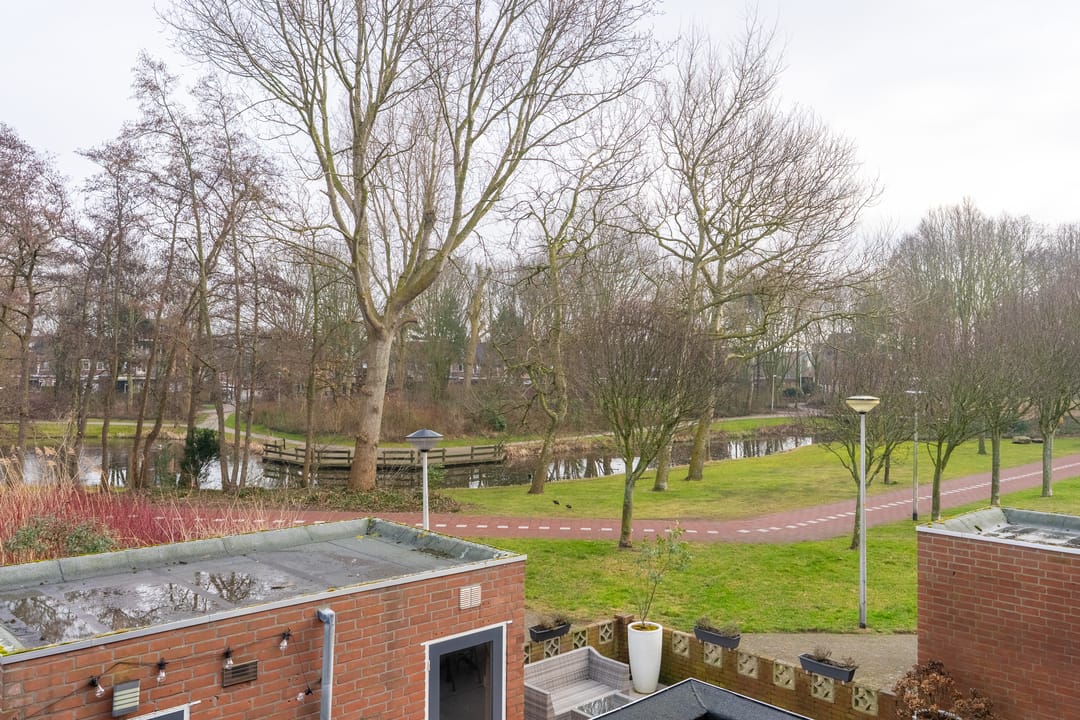 Foto 11 van Venus 37