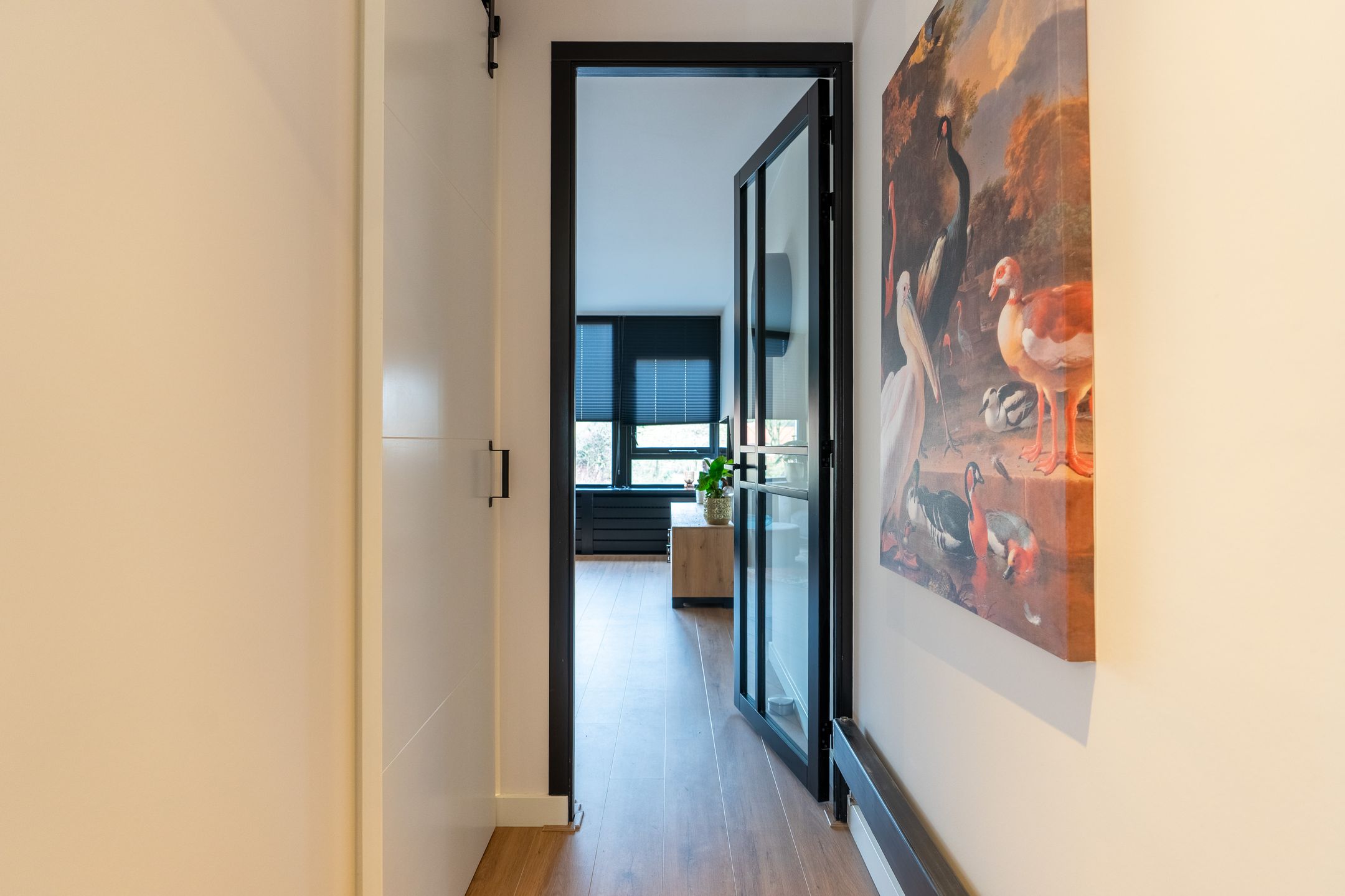 Foto 18 van Venus 37