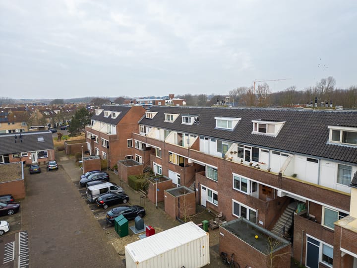 Foto 22 van Venus 37