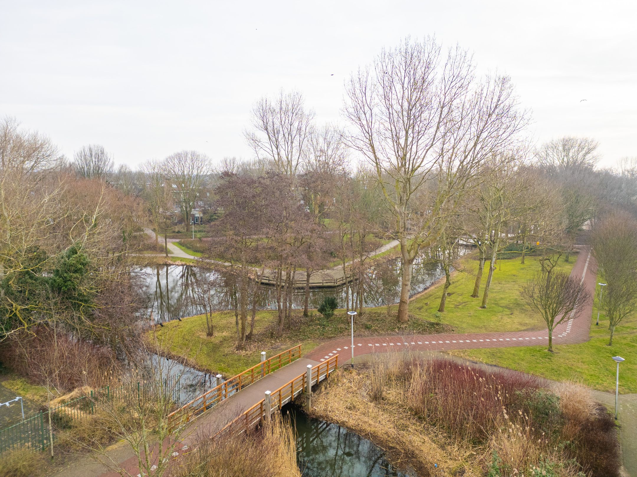 Foto 24 van Venus 37