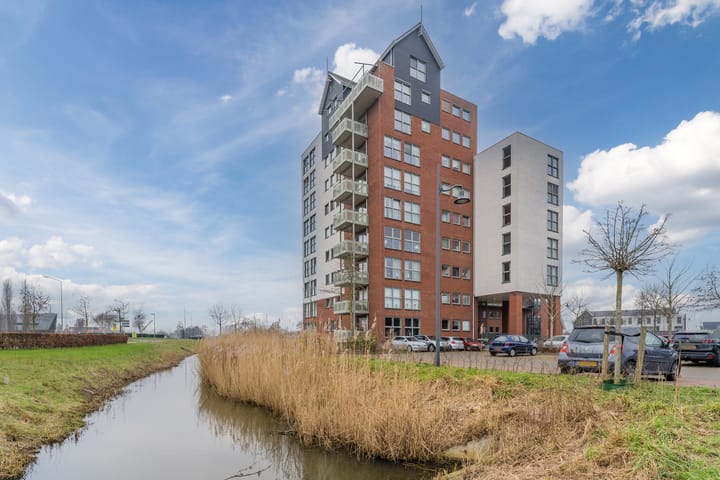 Foto 2 van Zijdevlinder 62