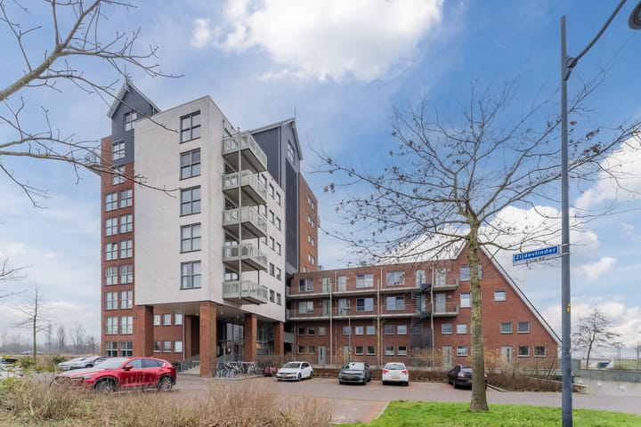 Foto 3 van Zijdevlinder 62