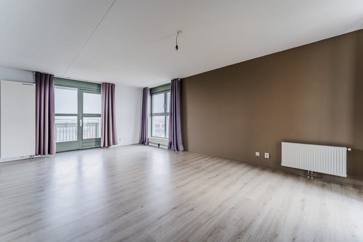 Foto 5 van Zijdevlinder 62