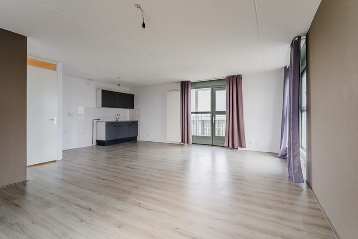 Foto 6 van Zijdevlinder 62