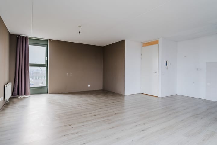 Foto 7 van Zijdevlinder 62