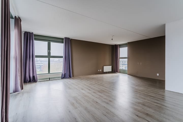 Foto 8 van Zijdevlinder 62